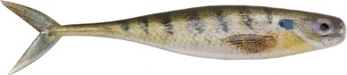 Berkley Powerbait The Champ Minnow 1 Berkley Powerbait The Champ Minnow